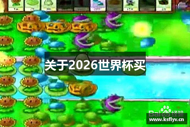 关于2026世界杯买